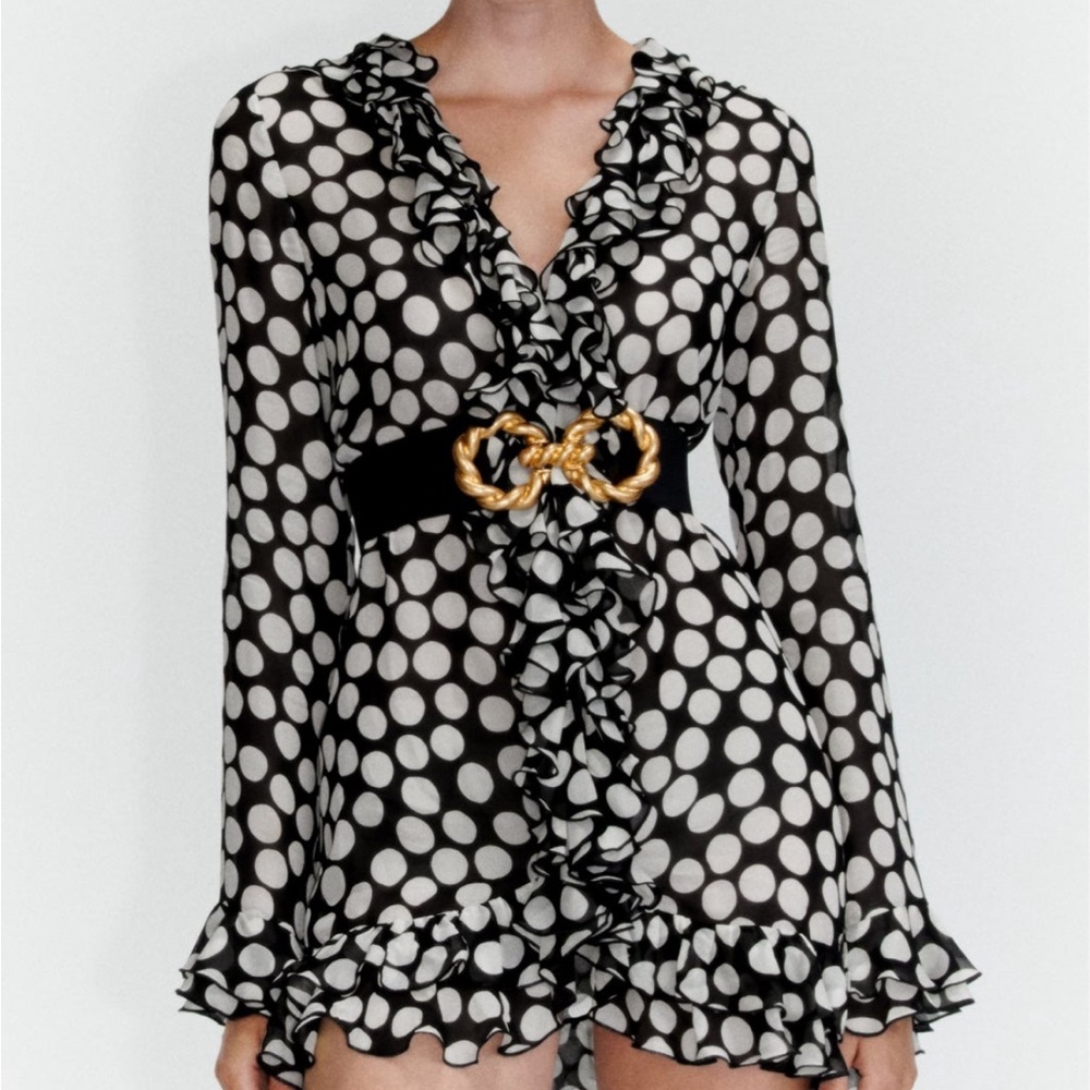 Zara Ruffled Polka Dot Blouse Dress - Small - Picture 3 of 12